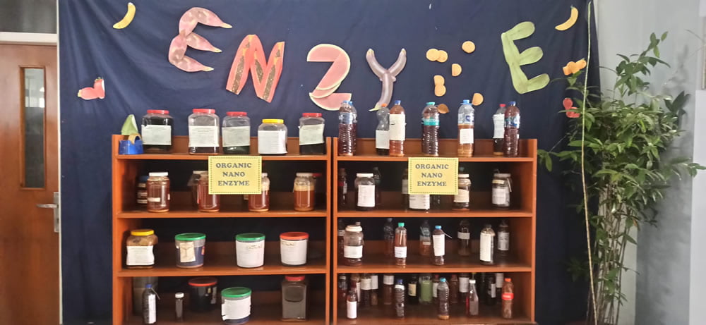 SD_Pameran2_nano-enzym4